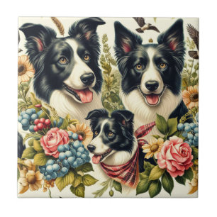 Vintage Border Collie Illustration Tile