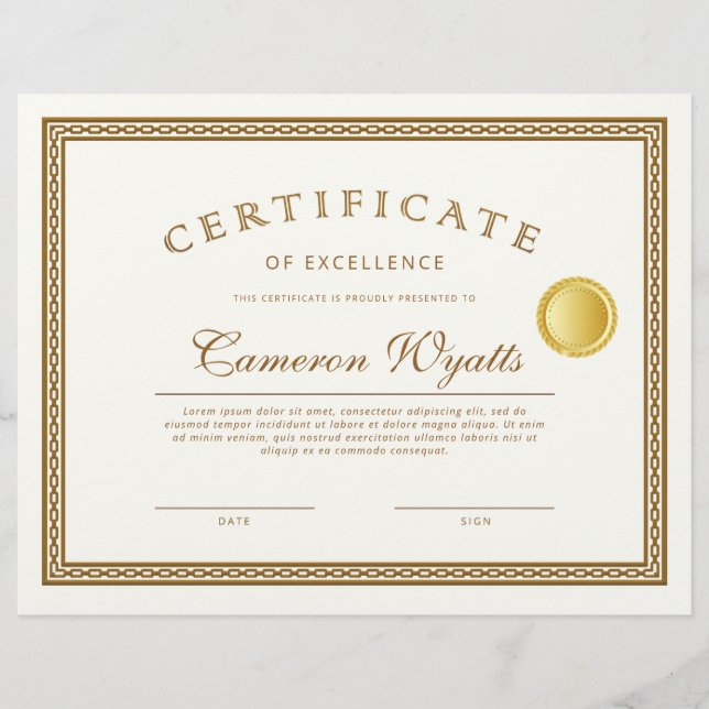 Vintage Border Frame Certificate Excellence Award Flyer (Front)