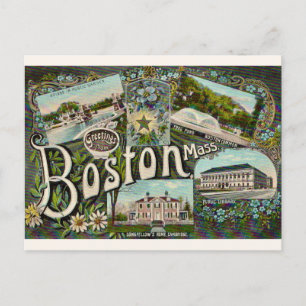 Vintage Boston Frog Pond Postcard