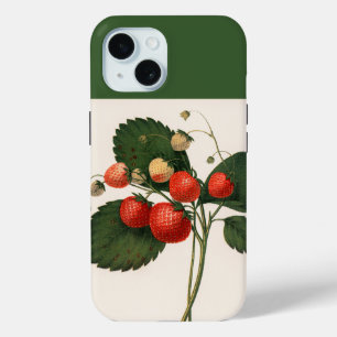Vintage Boston Pine Strawberry  Case-Mate iPhone C iPhone 15 Case