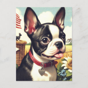 Vintage Boston Terrier Illustration Postcard