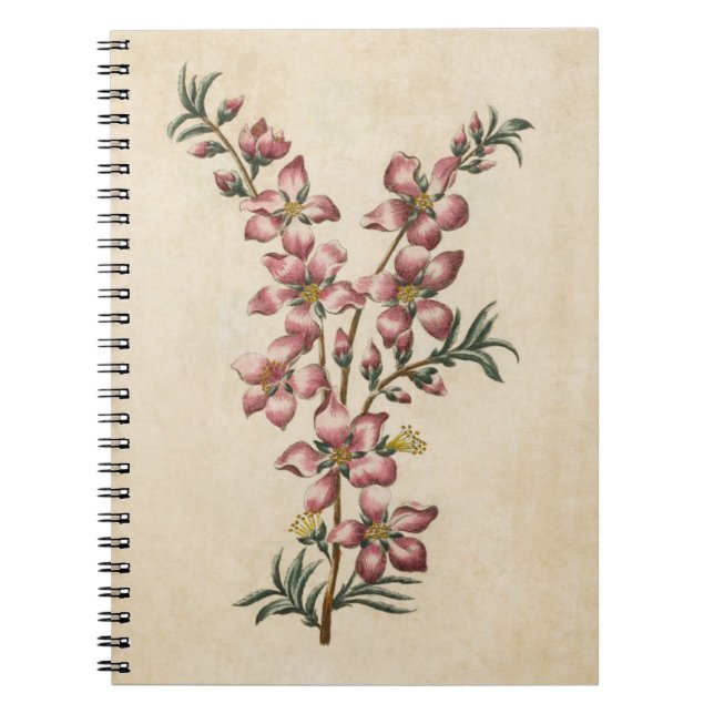Vintage Botaical Floral Almond Blossom Notebook (Front)