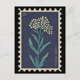 Vintage Botanical Achillea millefolium Flora Postcard