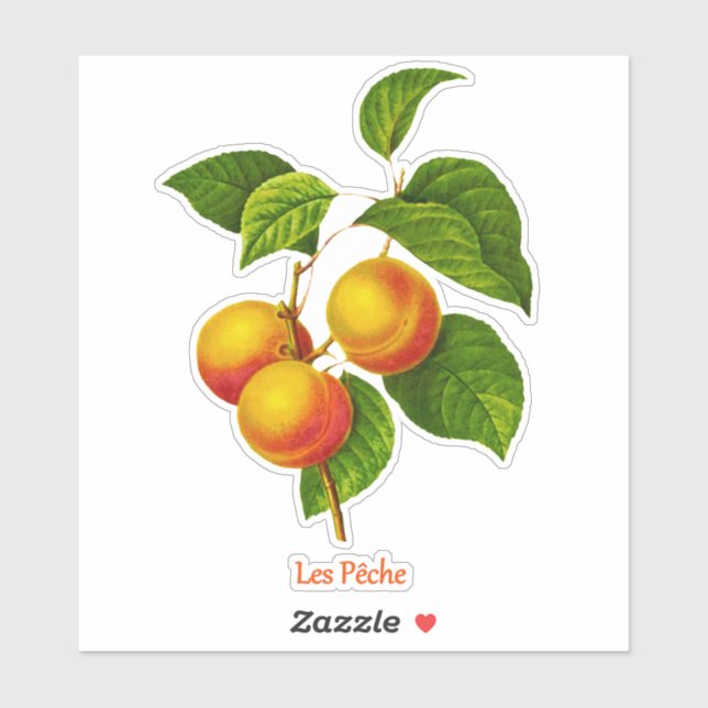 Vintage Botanical Art - Peaches and Leaves (Sheet)