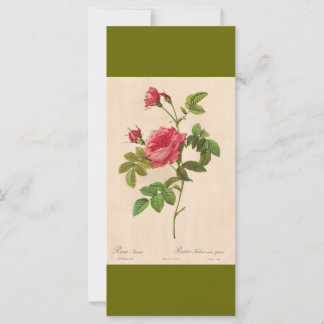 Vintage botanical art pink rose flowers bookmark
