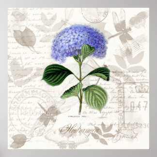 Vintage botanical art prints Heirloom Hydrangea