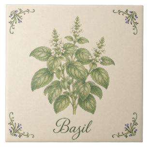 Vintage Botanical Basil Herb Kitchen Garden Tile