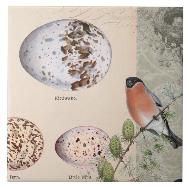 Vintage Botanical Bird Desert Cactus Eggs Script Tile (Front)