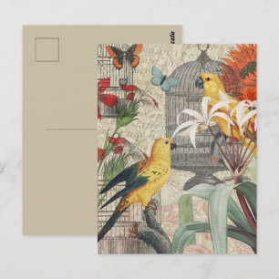 Vintage Botanical Bird Nature Antique Tropical Postcard