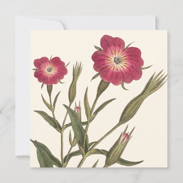 Vintage Botanical Birthday for Lady Gardener Invitation (Front)