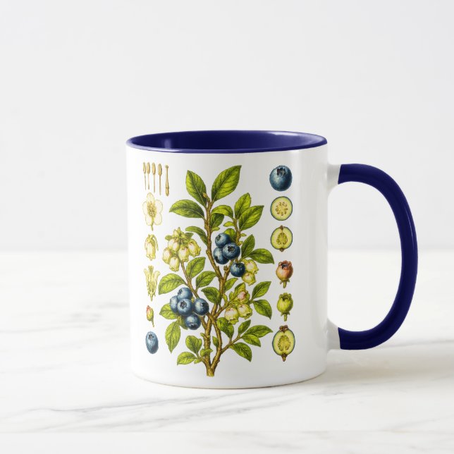 Vintage Botanical Blueberry Illustration Mug (Right)