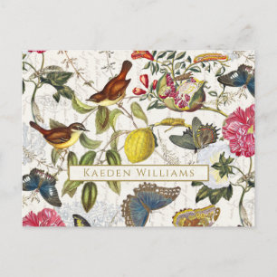 Vintage Botanical Butterflies and Birds Postcard