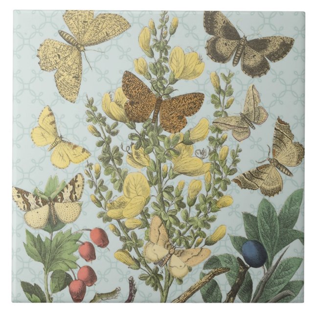 Vintage Botanical Butterflies...tile Tile (Front)