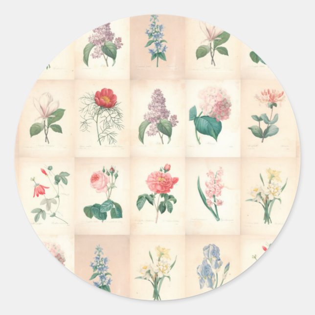Vintage botanical by Redoute - Round stickers (Front)