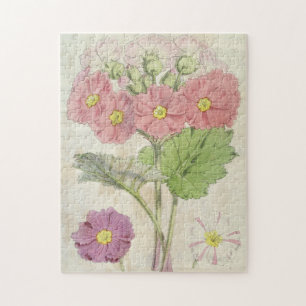 Vintage Botanical Carmine Chinese Primrose Jigsaw Puzzle