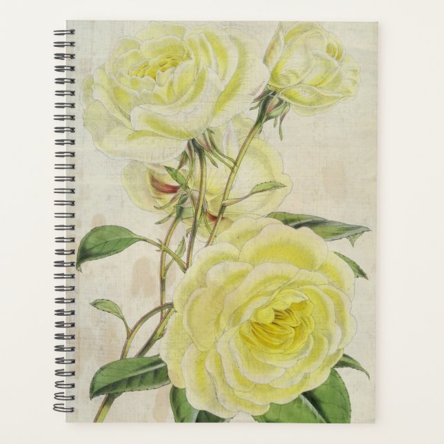 Vintage Botanical Celine Forestier Rose Planner (Front)