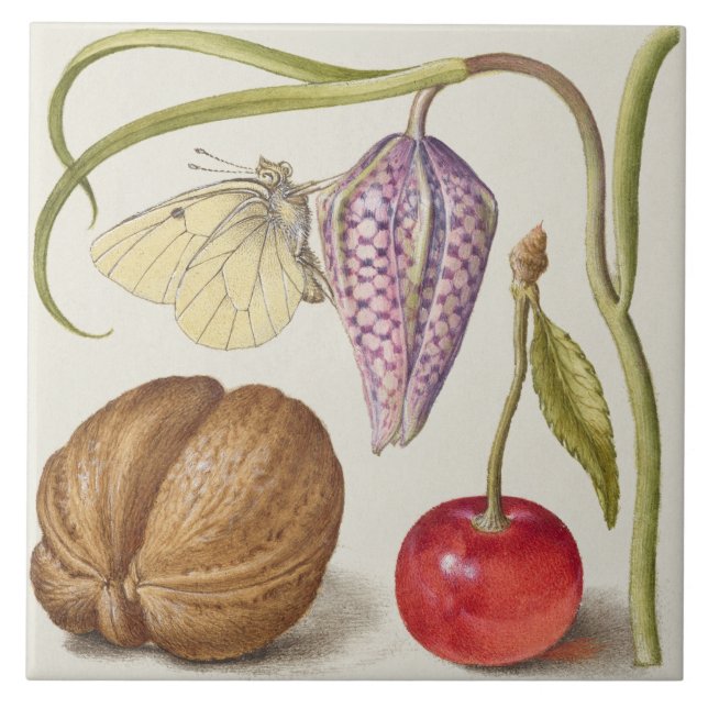 Vintage Botanical Ceramic Tile (Front)