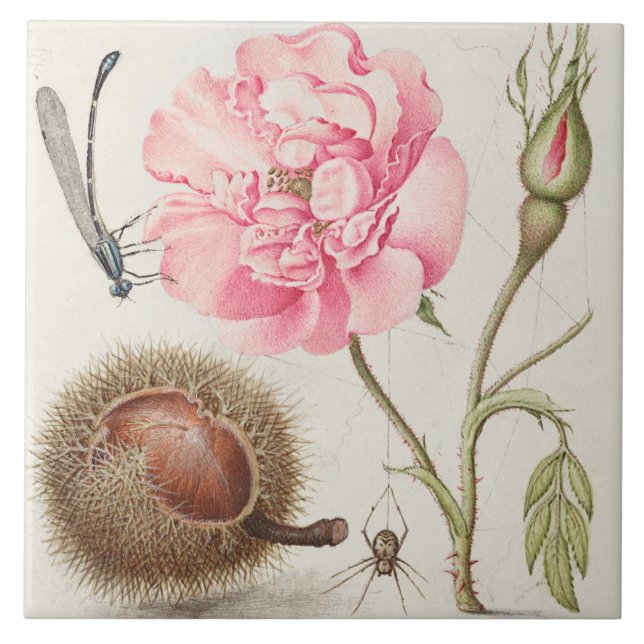 Vintage Botanical Ceramic Tile (Front)