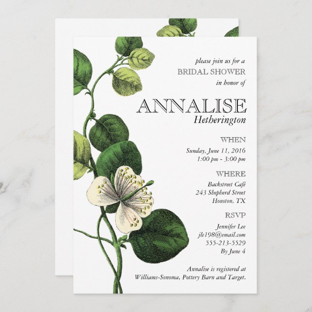 Vintage Botanical Chic Bridal Shower Invitations (Front/Back)