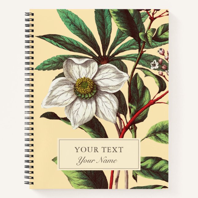 Vintage Botanical Christmas Rose Flower  Notebook (Front)