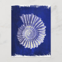 vintage botanical Coastal Blue White seashell