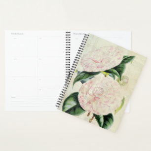 Vintage Botanical Countess of Derby Camellia Planner