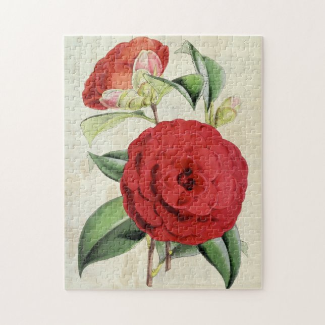 Vintage Botanical Crimson Camellia Jigsaw Puzzle (Vertical)