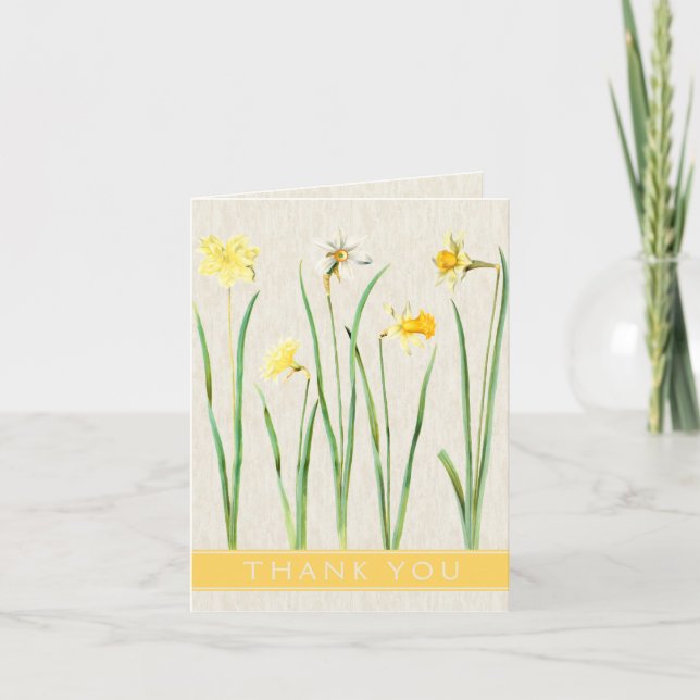 Vintage Botanical Daffodil Thank You Card (Front)