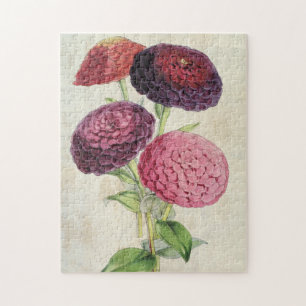 Vintage Botanical Double-Flowered Purple Zinnia Jigsaw Puzzle