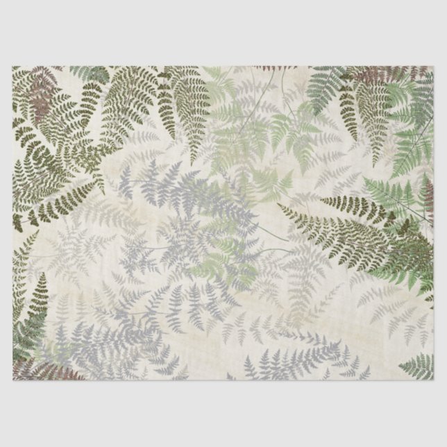 Vintage Botanical Fern Leaves Tissue Paper (Front)