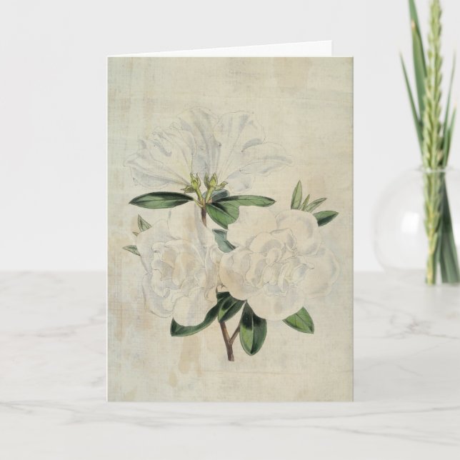 Vintage Botanical Flag of Truce Azalea Card (Front)