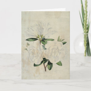 Vintage Botanical Flag of Truce Azalea Card