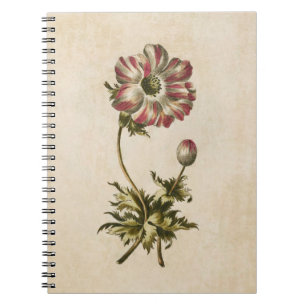 Vintage Botanical Floral Anemone Illustration Spiral Notebook
