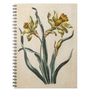 Vintage Botanical Floral Daffodil Illustration Spiral Notebook
