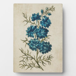 Vintage Botanical Floral Double Larkspur Plaque