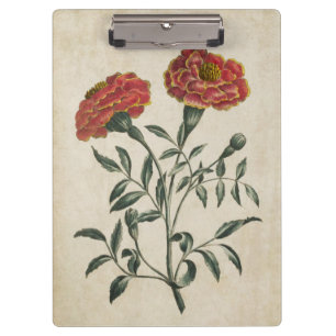 Vintage Botanical Floral French Marigold Clipboard