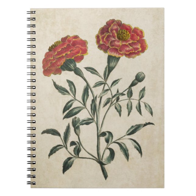 Vintage Botanical Floral French Marigold Spiral Notebook (Front)