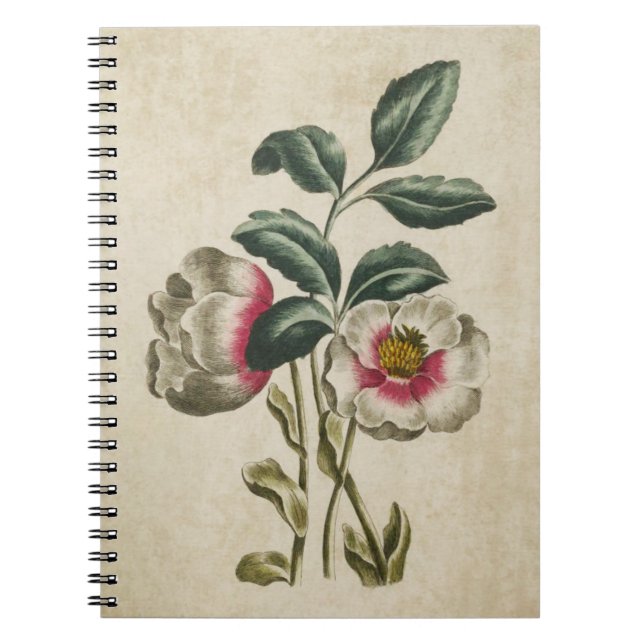Vintage Botanical Floral Hellebore Illustration Notebook (Front)