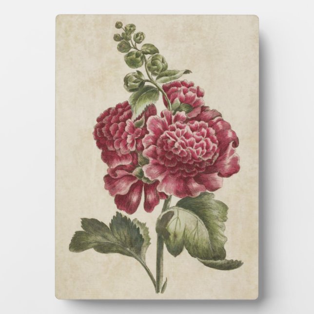 Vintage Botanical Floral Hollyhock Plaque (Front)
