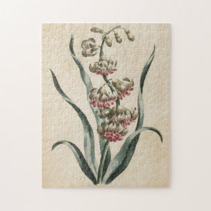 Vintage Botanical Floral Hyacinth Jigsaw Puzzle