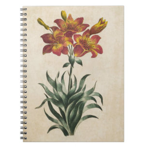 Vintage Botanical Floral Lily Illustration Notebook