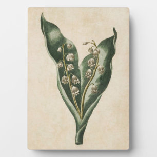 Vintage Botanical Floral Lily of the Valley Plaque