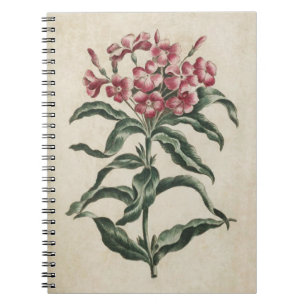 Vintage Botanical Floral Lychnidea Illustration Spiral Notebook