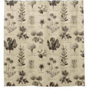 Vintage Botanical Floral Pattern (11) Shower Curtain