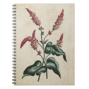 Vintage Botanical Floral Persicaria Illustration Spiral Notebook