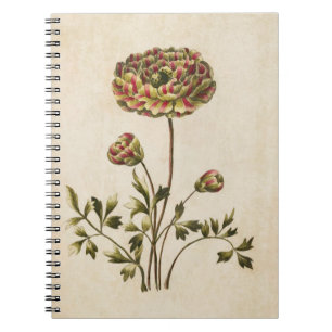 Vintage Botanical Floral Ranunculus Illustration Spiral Notebook