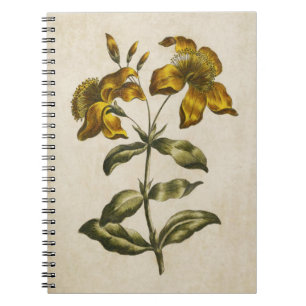 Vintage Botanical Floral St. John's Wort Spiral Notebook