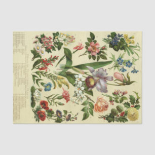 Vintage Botanical Floral Tissue Paper