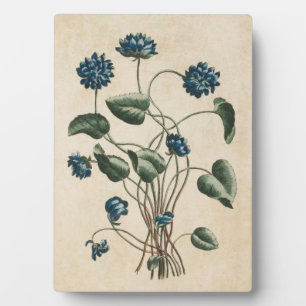 Vintage Botanical Floral Violets Plaque