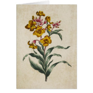 Vintage Botanical Floral Wall Flower Illustration
